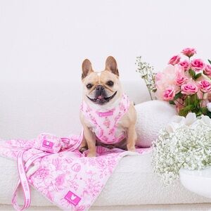 Frenchie Brand Toile Pink Floral Duo Reversible Breathable Harness & Leash Set M